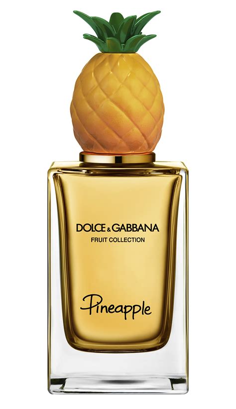 dolce gabbana perfume online store|dolce and gabbana unisex fragrance.